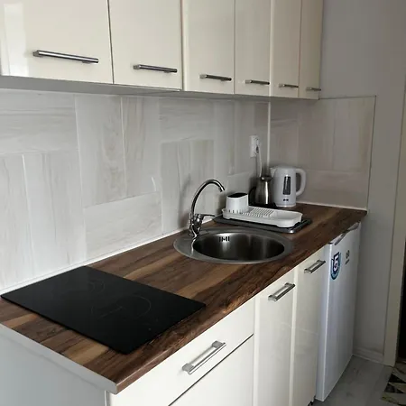 Homestay szállás Sunflower Sokobanja